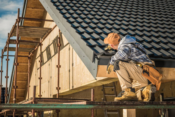 Best Asphalt Shingles Roofing  in Folkston, GA