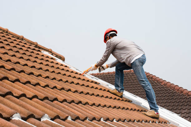 Best Rubber Roofing (EPDM, TPO)  in Folkston, GA